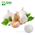 High Quality Extracts Manufactory Organic Bulk Garlic Powder